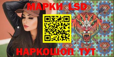 МДПВ Гусев