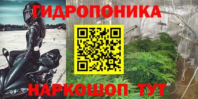 PSILOCYBIN Гусиноозёрск