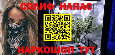 PSILOCYBIN Гусиноозёрск