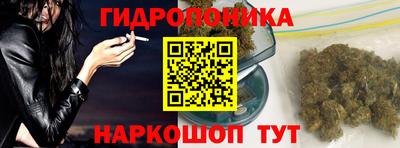 PSILOCYBIN Гусиноозёрск